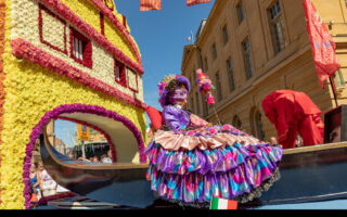 The Mirabelle plum festival returns