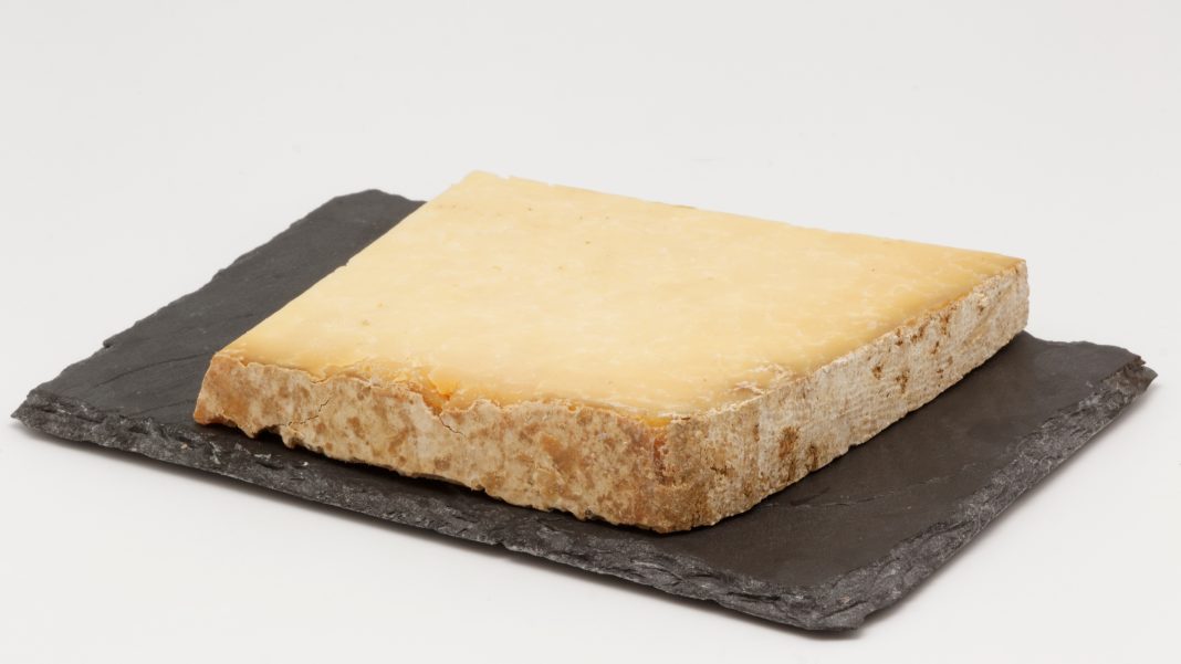 salers cheese wikimedia common