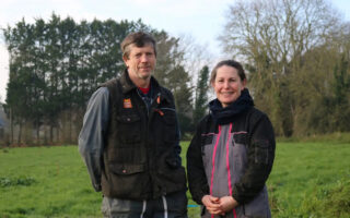 Dairy farming in Brittany