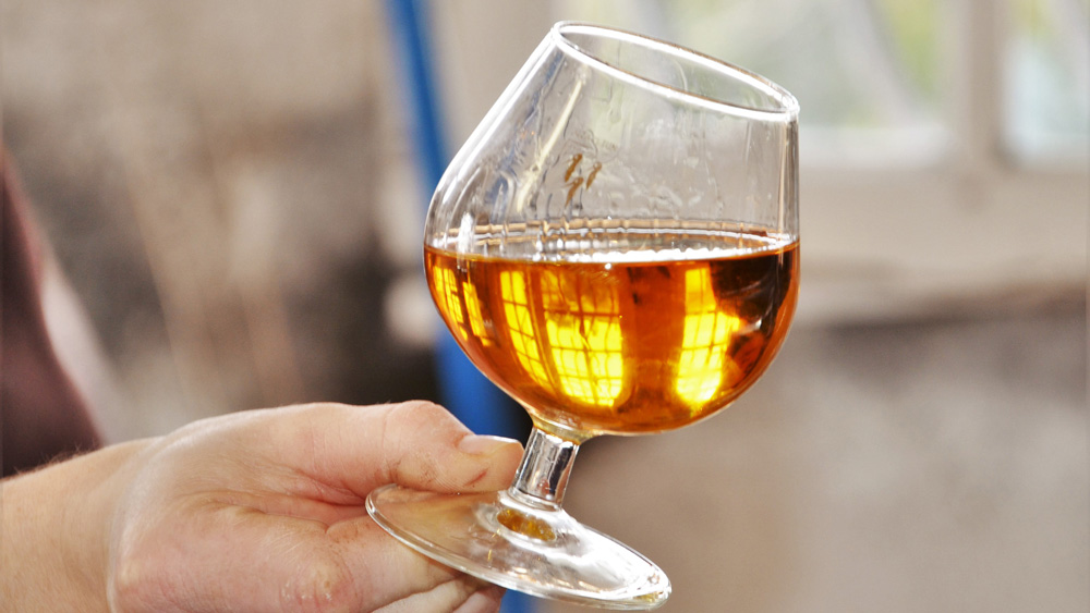 Stemless Brandy, Cognac and Armagnac Tasting Glasses