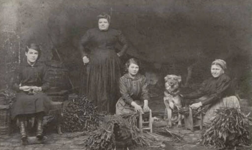 Market gardening in the Île-de-France © Collection Ville de La Courneuve