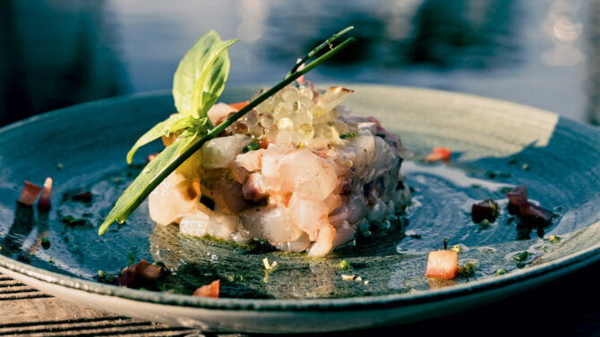 Sea bass tartare