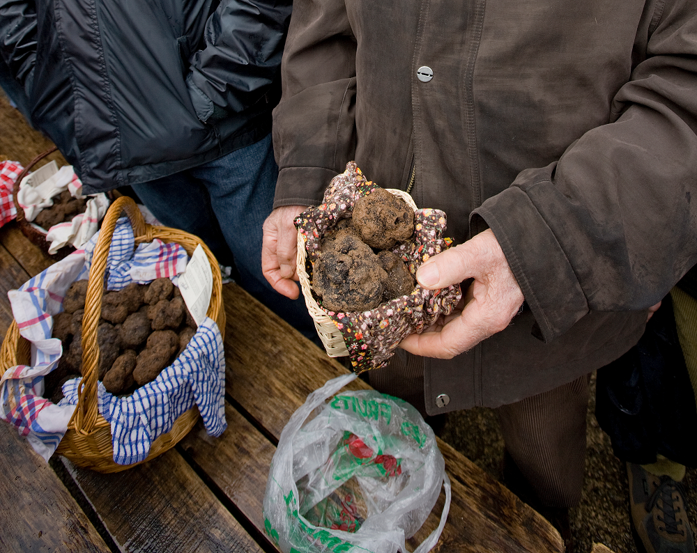 Traditional Black Truffle Market Lalbenque France Stock Photo