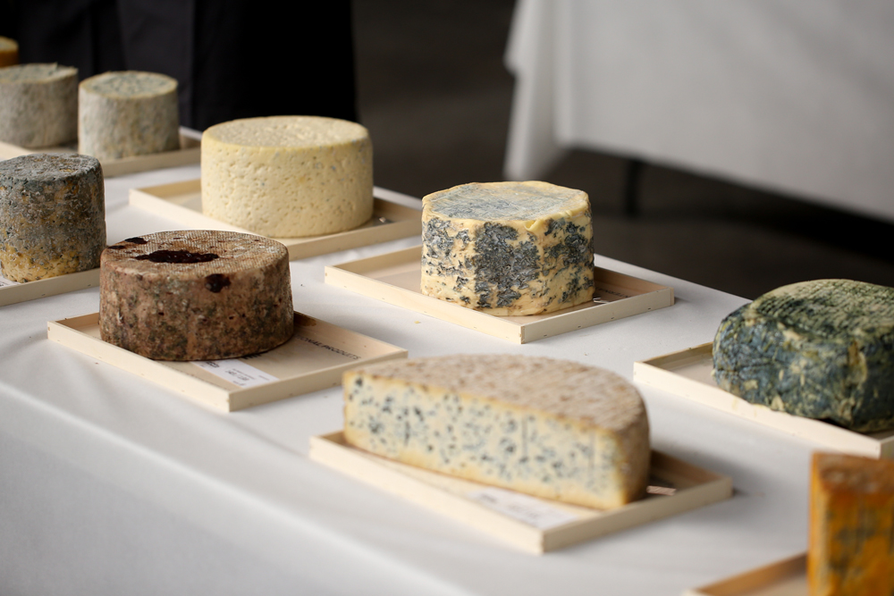 An array of different cheeses on a table