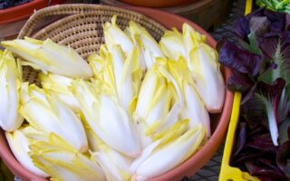 Make the most of endive while it’s in peak season