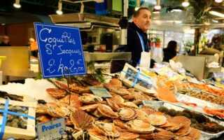 France expects a record year for scallops
