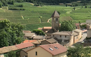 5 reasons to embark on a gastronomy break in Beaujolais countryside and learn French at your teacher’s home