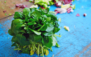 Au marché! It’s the season for watercress