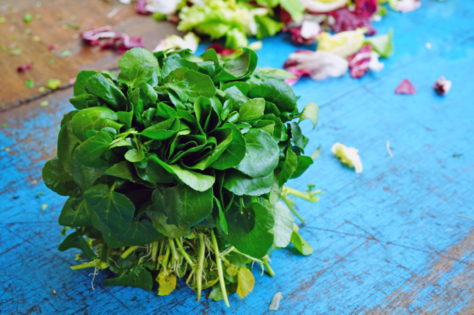Au marché! It’s the season for watercress