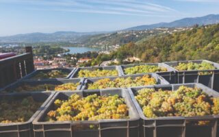 A gastronomic tour of Northern Rhone