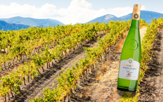 The south of France in a glass