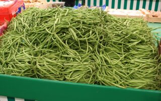 H is for… haricots verts