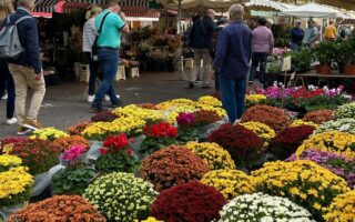 A taste of the Mediterranean in Nice