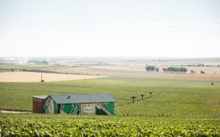 A brief history of the world’s oldest champagne house