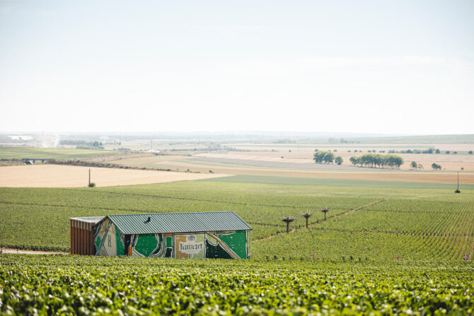 A brief history of the world’s oldest champagne house