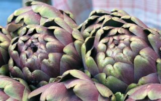 The culinary legacy of King Louis XIV
