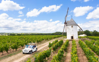 Discover a little-known gem: the Vendée vineyards 