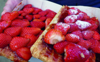 Dordogne’s Strawberry Festival