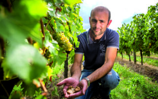 Where land meets sea: Culinary adventures in the Vendee