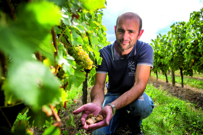 Where land meets sea: Culinary adventures in the Vendee