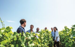 3 wine tours to try in France