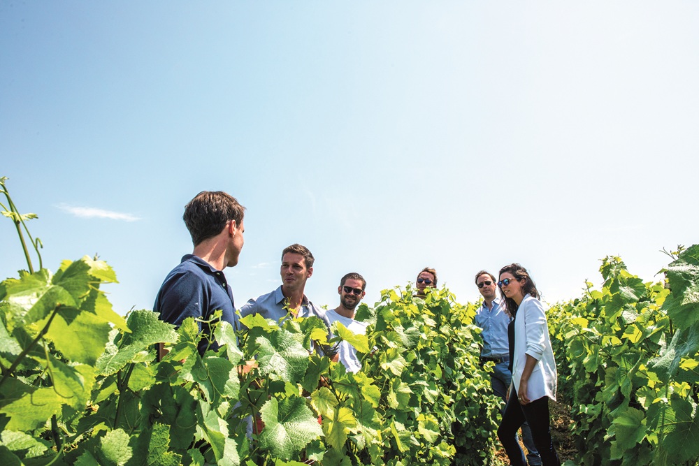 3 wine tours to try in France