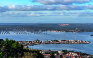 Where the vines meet the sea: Etang de Thau