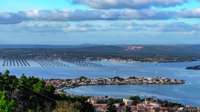 Where the vines meet the sea: Etang de Thau