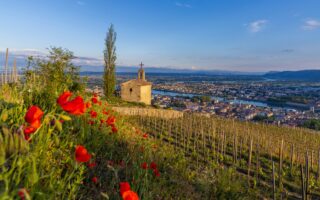 Vallée de la Gastronomie: A Spring Tour