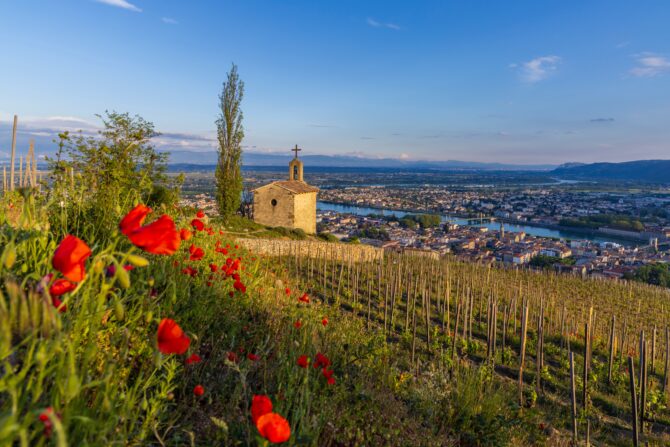 Vallée de la Gastronomie: A Spring Tour