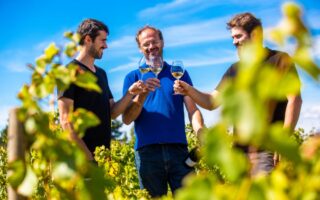 The Vendée on a Plate: Local Delicacies from Salt Marshes to Farm Fields