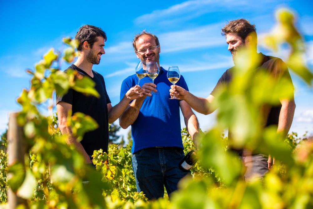 The Vendée on a Plate: Local Delicacies from Salt Marshes to Farm Fields