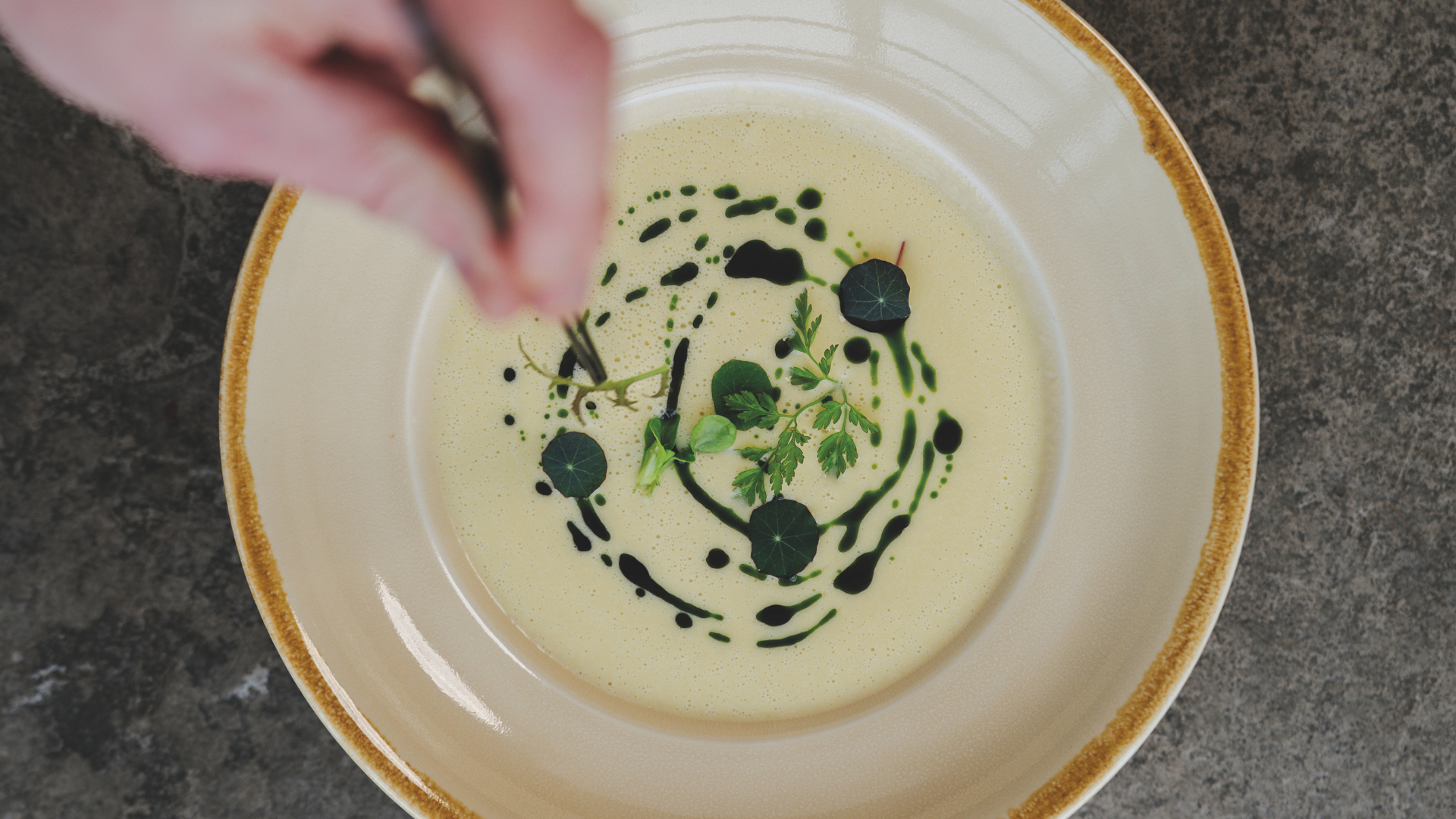 Garden leek velouté with chive oil