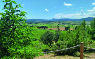 The vast and varied vineyards of Corbières