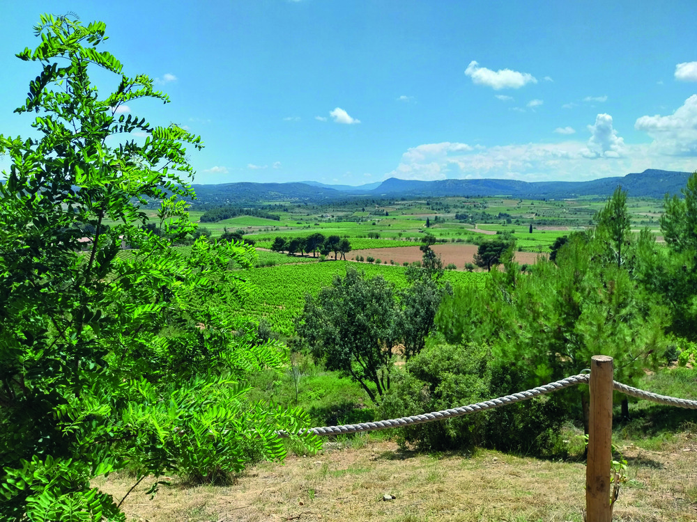 The vast and varied vineyards of Corbières