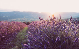 7 things to do along the Vallée de la Gastronomie this summer