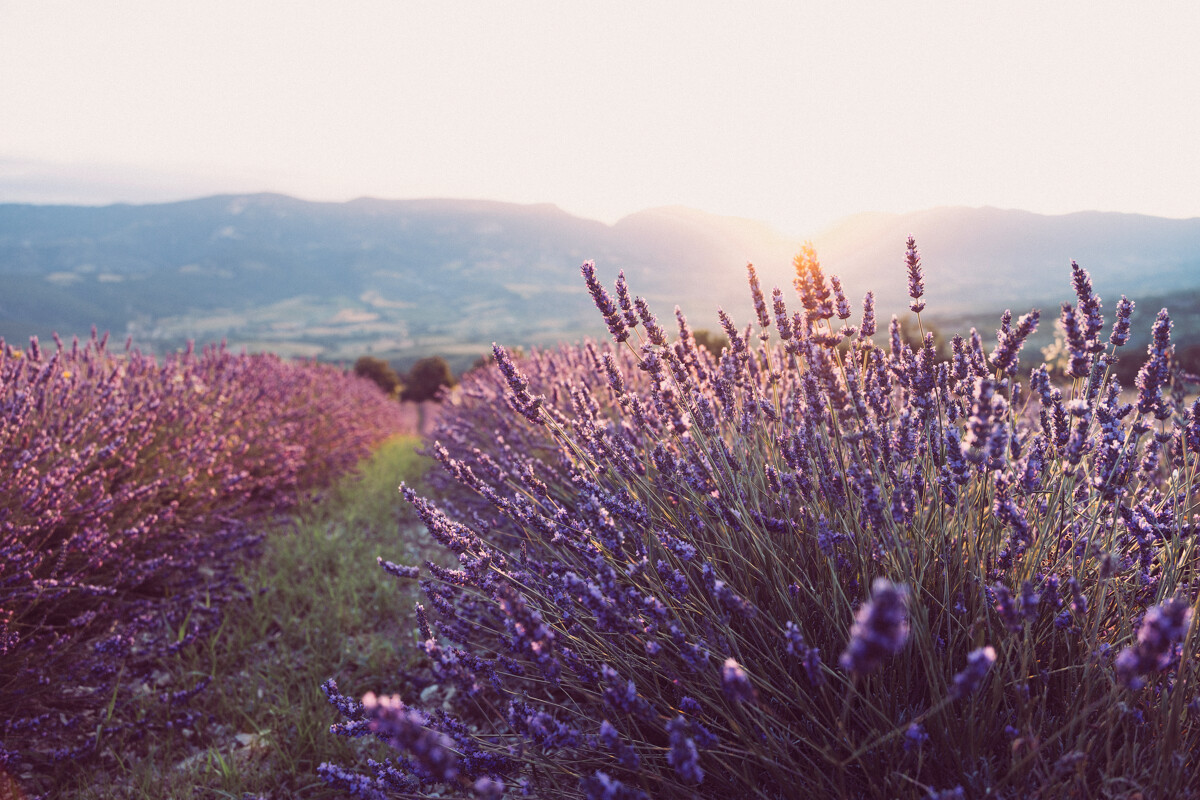 7 things to do along the Vallée de la Gastronomie this summer