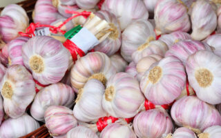 French food festivals to visit this August