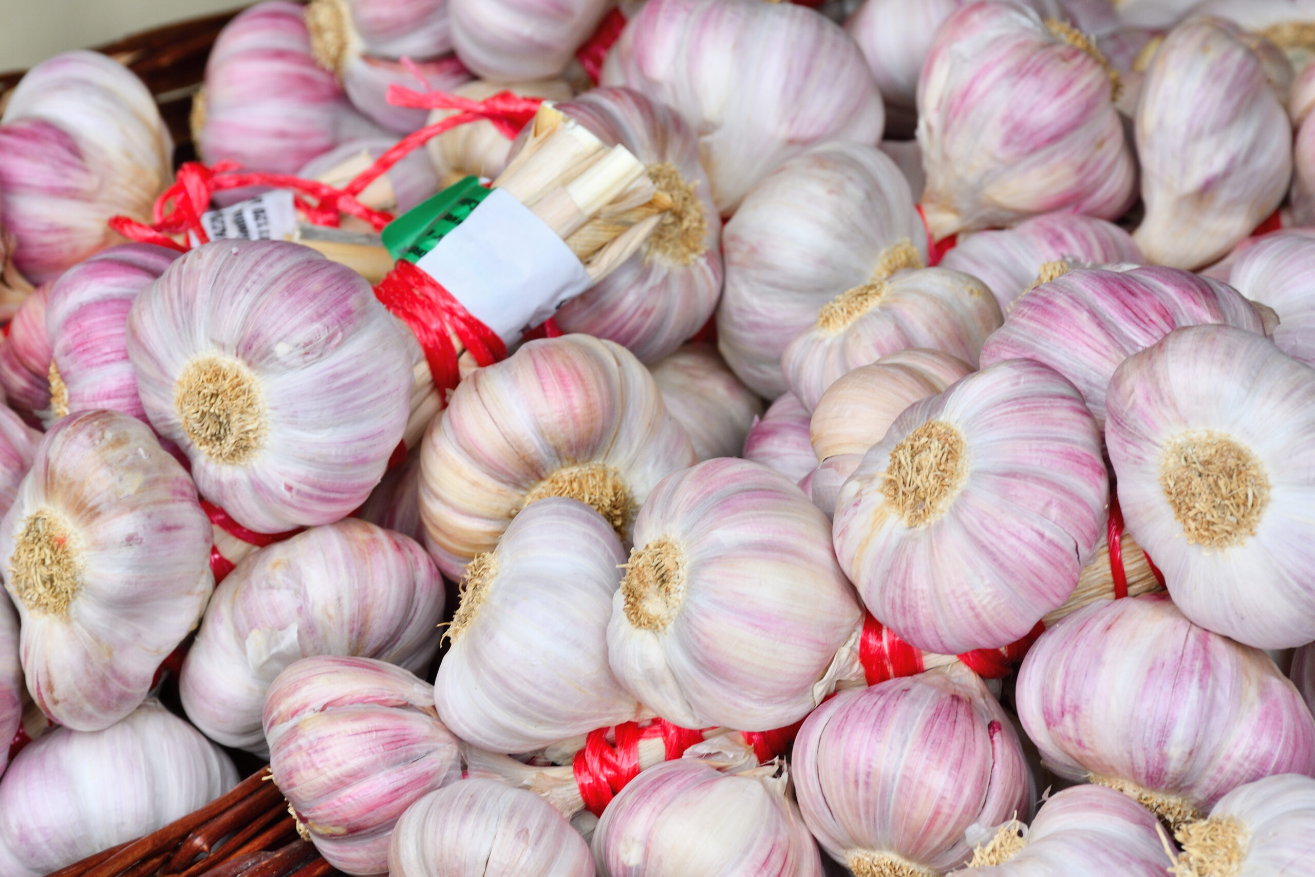 French food festivals to visit this August