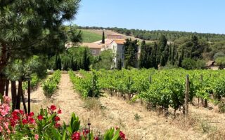 Gérard Bertrand’s Château l’Hospitalet: wine and wellness in Languedoc