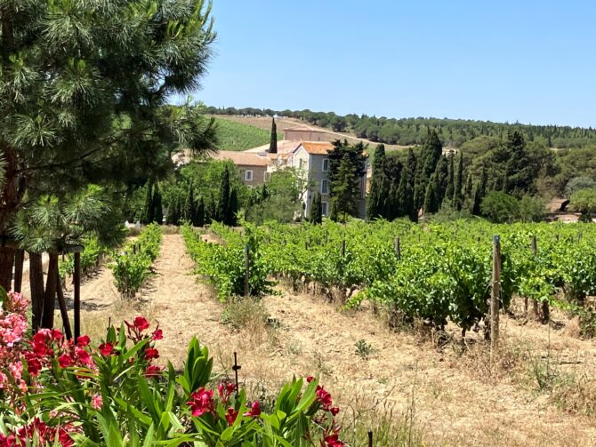 Gérard Bertrand’s Château l’Hospitalet: wine and wellness in Languedoc