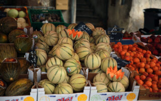 French fruit in season: Melon