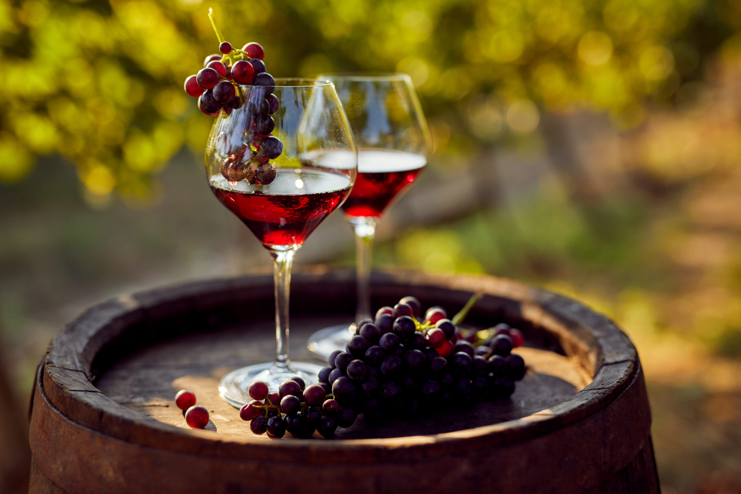 2 summer reds to enjoy in the sun