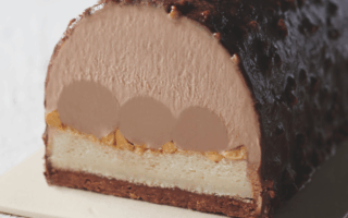 Milk chocolate & hazelnut bûche de Noël