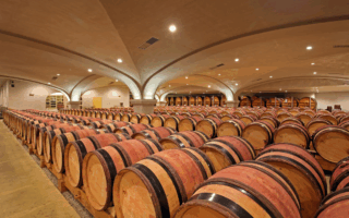 Vidal-Fleury wines: guardians of Rhône tradition and terroir