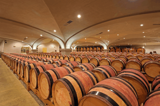Vidal-Fleury wines: guardians of Rhône tradition and terroir