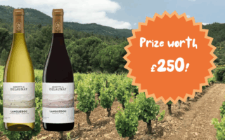 Win a Mixed Case of 12 Abbotts & Delaunay Wines Worth £250