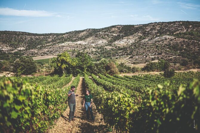 A Tale of Two Vineyards