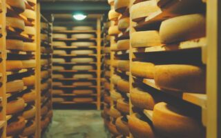 A Trip to Comté Country
