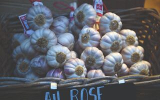 In Search of Tarn’s Pink Garlic